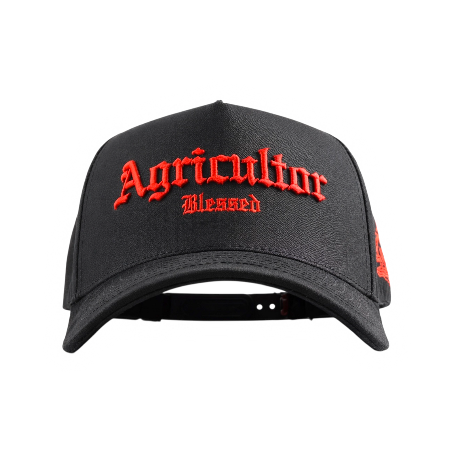 AGRICULTOR BENDITO “FRESA”